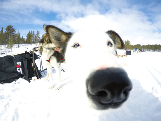 Fjällräven Polar