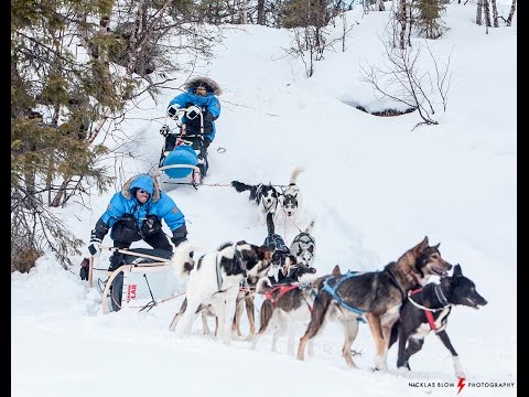 Fjällräven Polar 2017 - Day 5: Adaptions