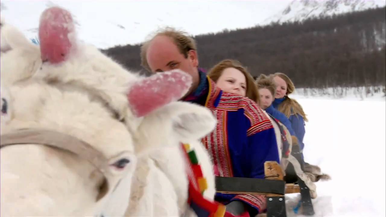 Reindeer Sledding & Sami Culture - Lyngsfjord Adventure