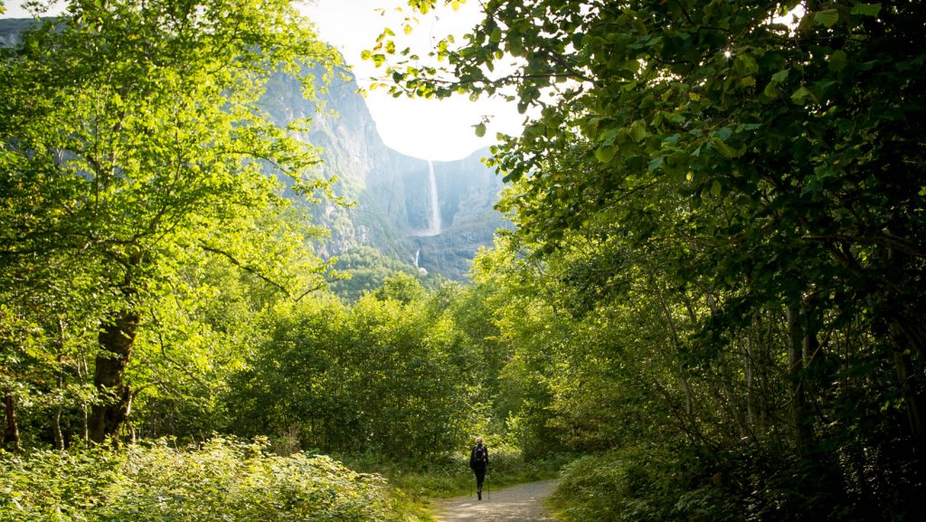 Tussen de bebossing wandelen naar Mardalfossen