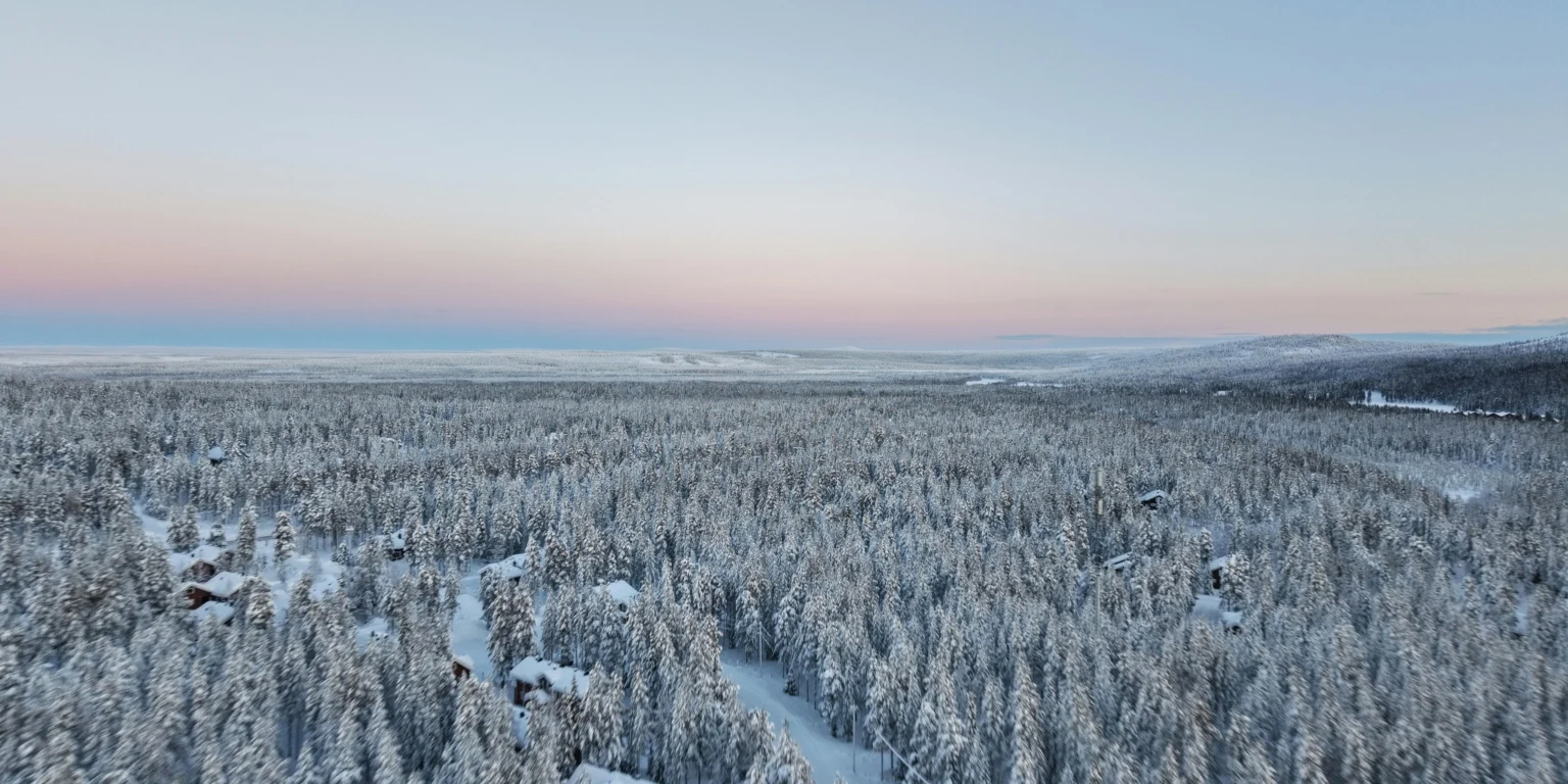 Snow-covered forests in Lapland under a pink winter sky