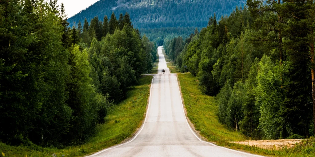 Een lege, rechte weg door het bos in Finland
